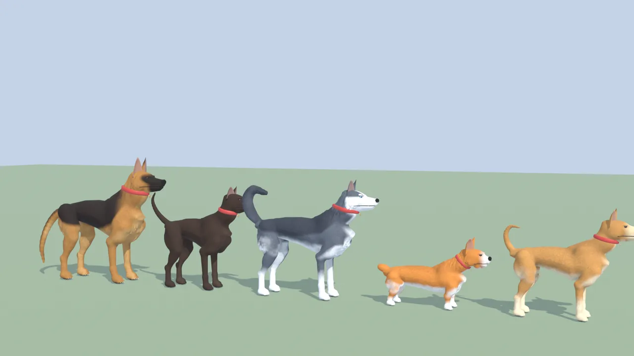 Năm giống chó Becgie, Phú Quốc, Husky, Corgi và Chó Cỏ với model mới trong Một Ngày Làm Chó