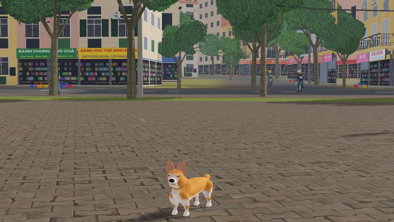 Chú chó Corgi với model mới trên quảng trường