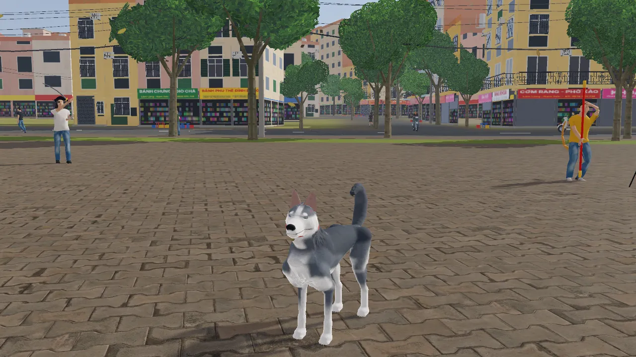 Chú chó Husky trên quảng trường trong Một Ngày Làm Chó